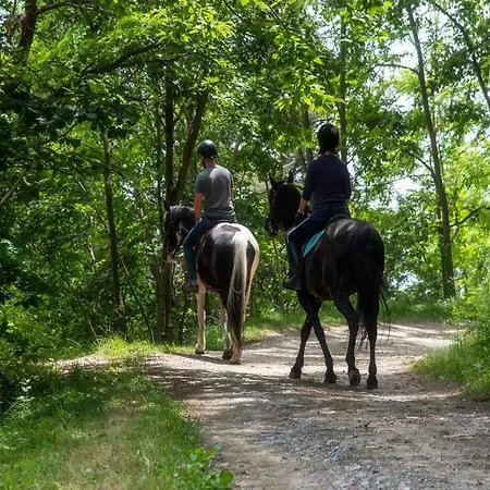 Civico 62 - D Andrea Lejlighed Pratola Peligna