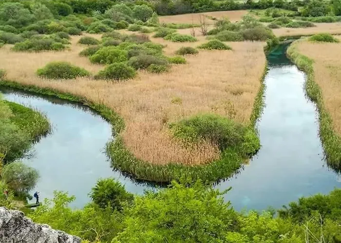 Apartment Civico 62 - D Andrea