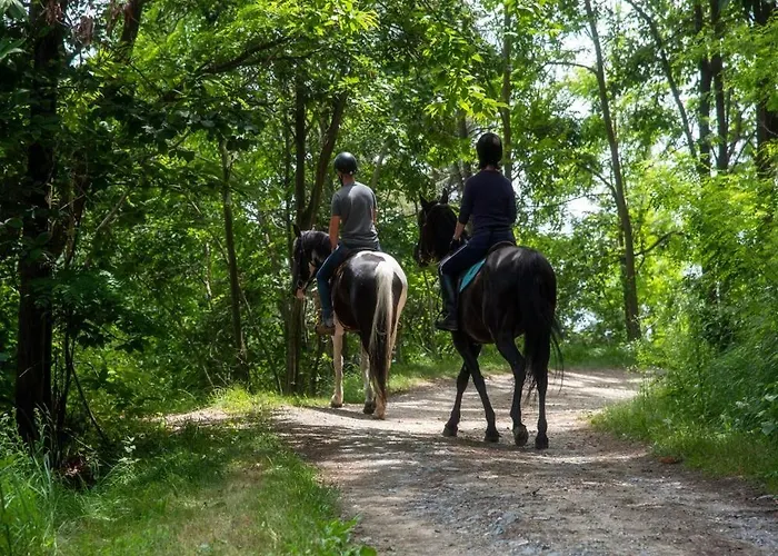 Civico 62 - D Andrea Апартаменты Pratola Peligna